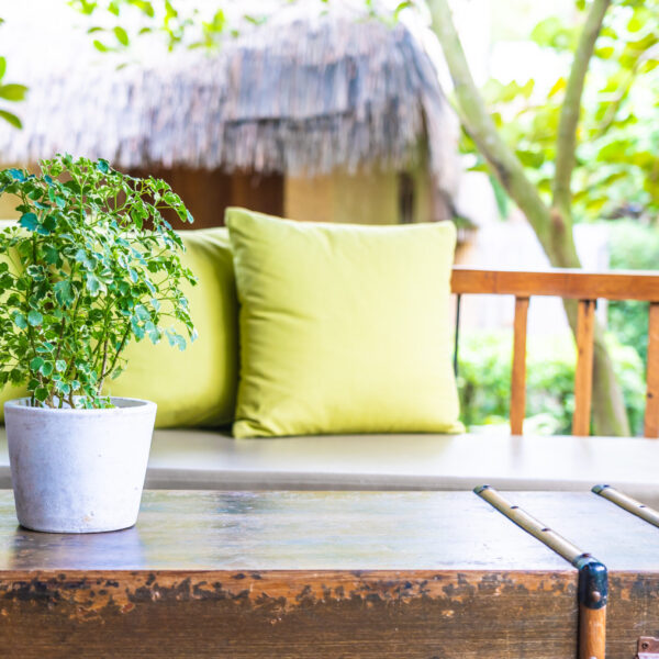 Vase plant on table decoration with pillow on sofa chair outdoor view